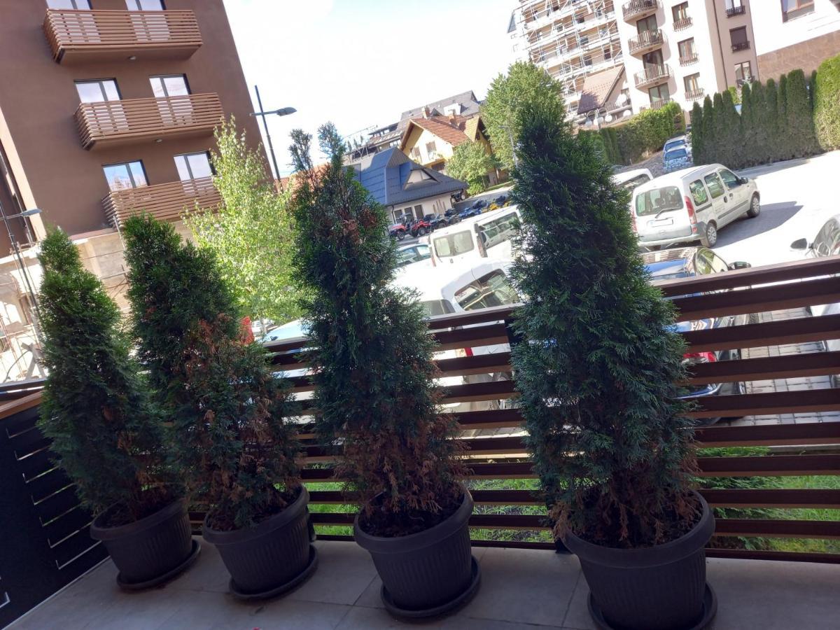 Apartman Oaza Kalman Spa-Gym Ζλάτιμπορ Εξωτερικό φωτογραφία